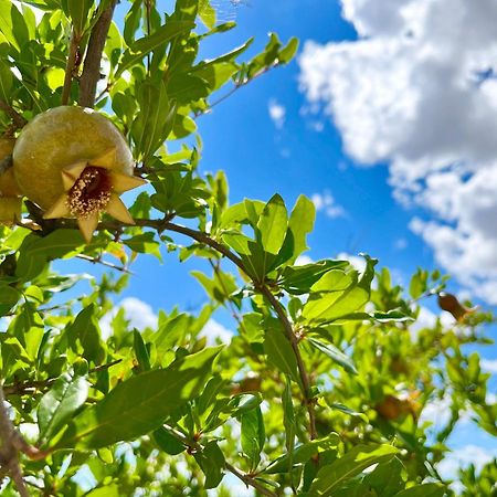 Апартаменты Podere Poggio Salto Пиенца Экстерьер фото